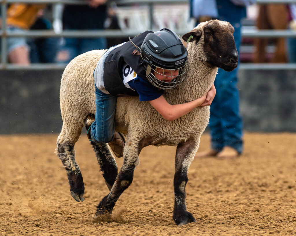 2024 Larimer County Junior Rodeo Saturday, August 3rd, 2024